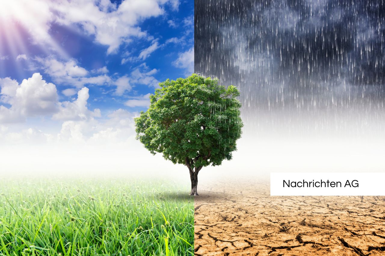 Kaminöfen richtig nutzen: Online-Vortrag zu Emissionen und Kosten sparen!