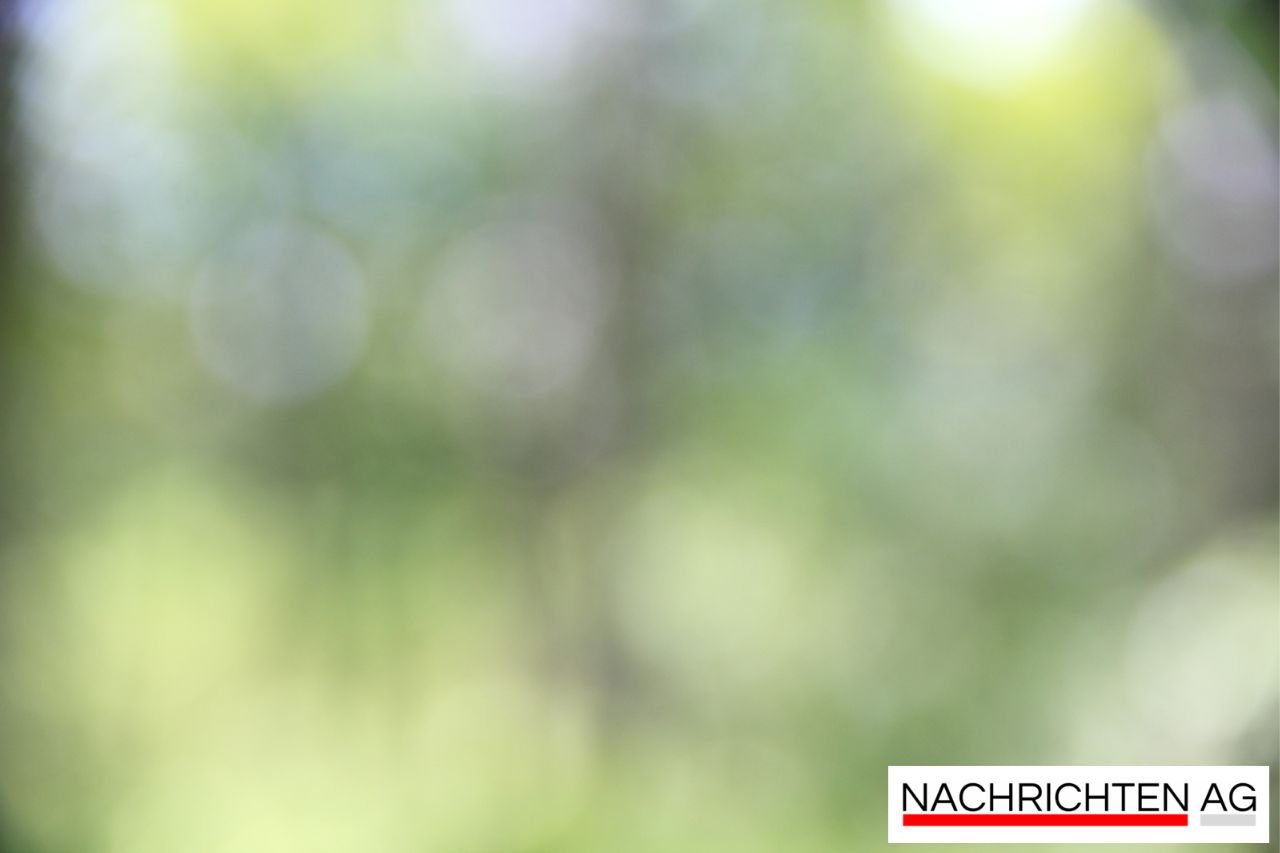 Finanzielle Förderungen: Ziemetshausens Zusamsteg wird neu belebt!